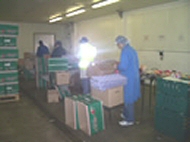 Packing Fruit & Vegetables
